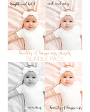 Load image into Gallery viewer, Classic Presets Bundle Pack