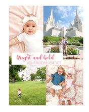 Load image into Gallery viewer, Classic Presets Bundle Pack
