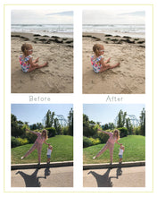 Load image into Gallery viewer, Subtle Outdoor Preset