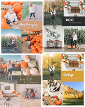 Load image into Gallery viewer, Fall Preset Bundle