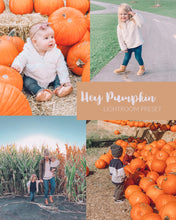 Load image into Gallery viewer, Fall Preset Bundle